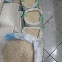 فروش محصولات شمال