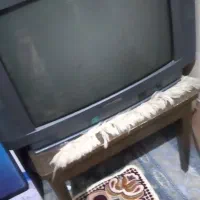 تلویزیون|تلویزیون و پروژکتور|سیرجان, |دیوار