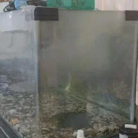 اکواریوم