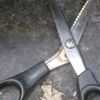 قیچی ریشدار