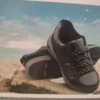 کفش اورجینال