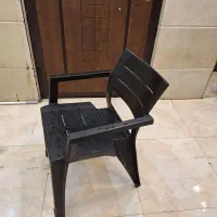 صندلی پلاستیکی|صندلی و نیمکت|یزد, |دیوار