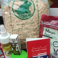 خوکچه هندی|موش و خرگوش|کاشان, گارزگاه|دیوار