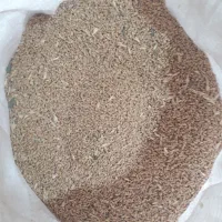 گندم آبی|عمده‌فروشی|مشهد, کارگران|دیوار