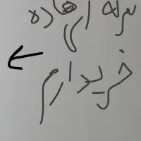 طوقی سرکه ای خفت ماده