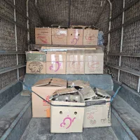 تراریوم|گل و گیاه طبیعی|تهران, شادمان|دیوار