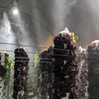 گلخانه-مدرن-ایروپونیک
