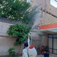 خدمات‌سمپاشی‌باغبانی‌سم‌پاشی‌درختان‌گلها سراسرمشهد