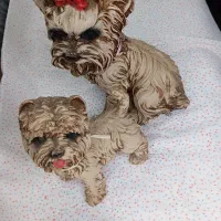 دوعدد مجسمه دکوری بسیار زیبا