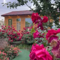 باغ-ویلا-با-صفا-500-متر-شاهنامه-36