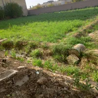 زمین-امام-جفعرصادق