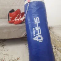 کفش کشتی  و کیسه بوکس