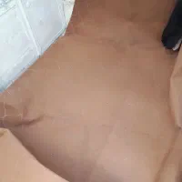 موکت فروشی