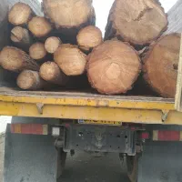 خریدار درخت و چوب