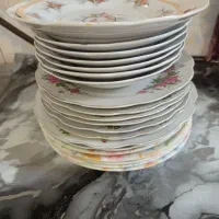 انواع بشقاب گل سرخ قدیمی