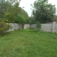 زمین-مسکونی-دور-دیوار-رشت-کوچصفهان