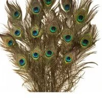 پر طاوس ...یه هدیه پر از انرژی به خودت به دوستان