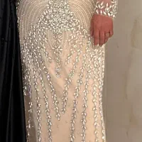 پنل مجلسی