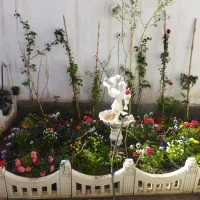 طراحی و اجرای انواع باغچه و گل نما