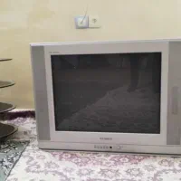 تلویزیون