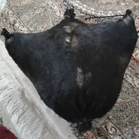 هیزه
