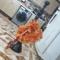 قلیون سرخ دار ۵ساله