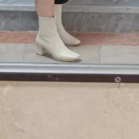 کفش|کیف، کفش، کمربند|شهرکرد, |دیوار