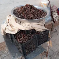 خرمای گنطاردرجه 1 بسته بندی شده|خوردنی و آشامیدنی|اهواز, ملاشیه|دیوار