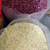 جویای کار بازاریابی خشکبار