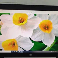 لپتاب Elite Book 8570w