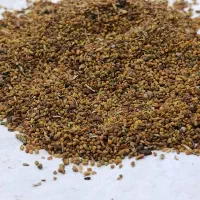 بذر یونجه|خدمات باغبانی و درختکاری|سیمینه, |دیوار