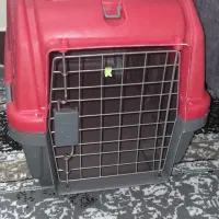 لوازم سگ یا گربه