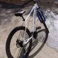 دوچرخه 29 بلست|دوچرخه، اسکیت، اسکوتر|اهر, |دیوار