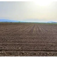 زمین کشاورزی