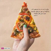 اموزش و راه اندازی فست فود