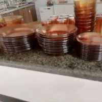 ظروف عسلی فرانسه