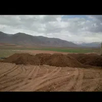 سلام عزیزان کشاورز.نیرو دارم برای وجین