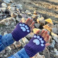 دستکش پنجه گربه ای