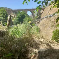 فروش حواله سمند سورن پلاس