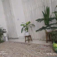 منزل مبله اختصاصی|اجارهٔ کوتاه‌مدت آپارتمان و سوئیت|شیراز, حجت آباد|دیوار