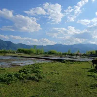 ۴ پلاک زمین مسکونی و چندتا مورد دیگه مبین بالو
