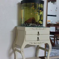 اکواریوم همراه با میز .بخاری پمپ و...|ماهی|شاندیز, |دیوار