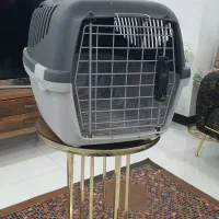 باکس سگ