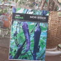 نهال گوجه بادمجان فلفل