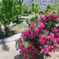 ویلایی-شاهنامه-نزدیک-حاشیه