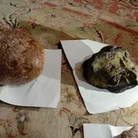 سنگ های زیبا وشهاب،وسنگ باستانی،و