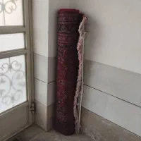 عتیقه|فرش|دامغان, |دیوار