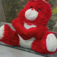 عروسک خرسی ولنتاین|اسباب‌‌بازی|رشت, فلسطین|دیوار