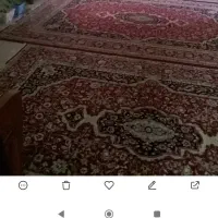 فرش|فرش|پرند, فاز ۲|دیوار