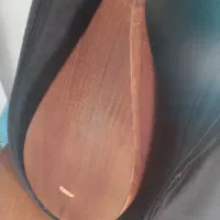 دوتار خوش صدا|سازهای سنتی|آشخانه, |دیوار